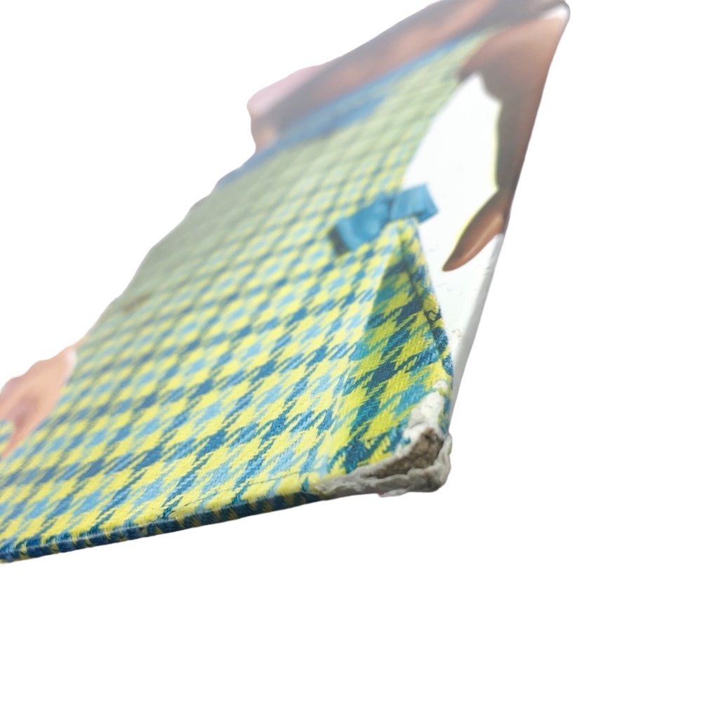 A Celebration Of The American Girl Story Book American Girls Visual Guide - Picture 11 of 14